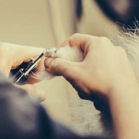 Nail Clipping